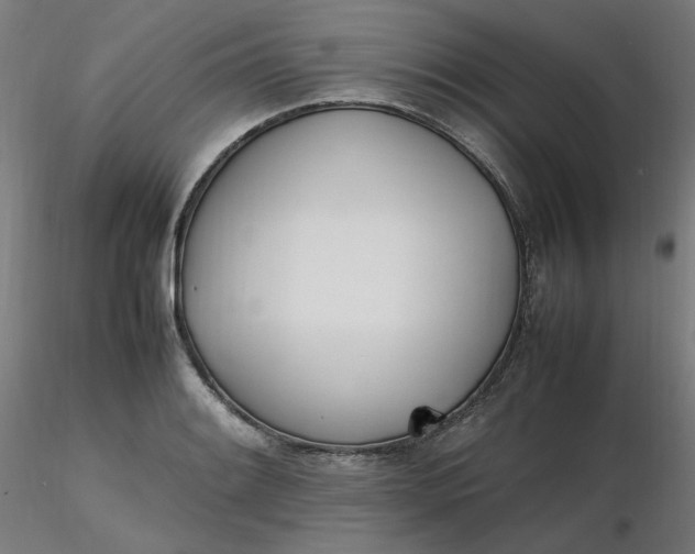 X0000116461084200912231356