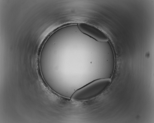 X0000116461085200912231356