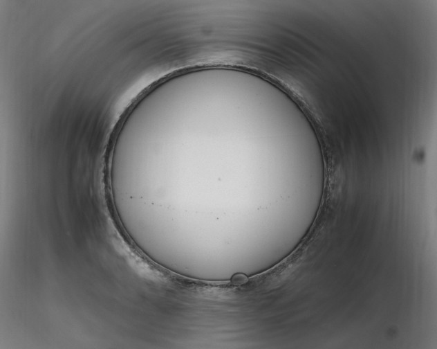 X0000116461086200912231356