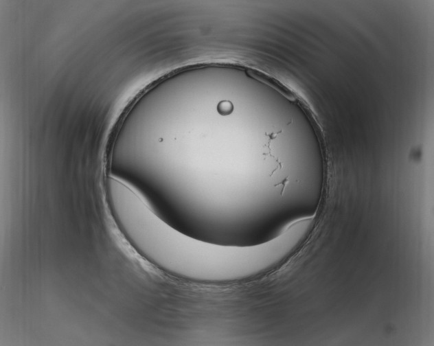 X0000116461088200912231356