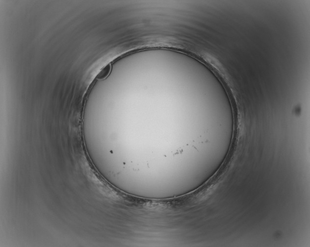 X0000116461089200912231356