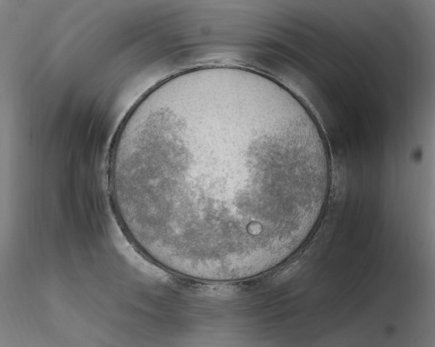 X0000116461090200912231356