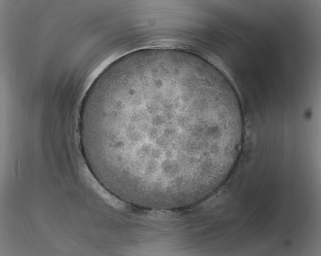 X0000116461091200912231356