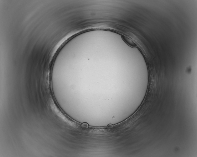 X0000116461092200912231356