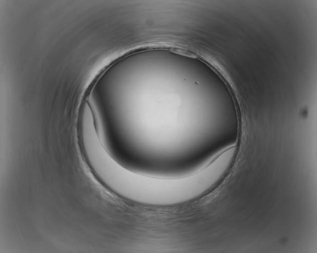 X0000116461093200912231356