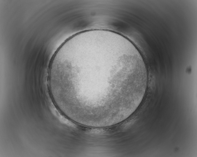 X0000116461094200912231356
