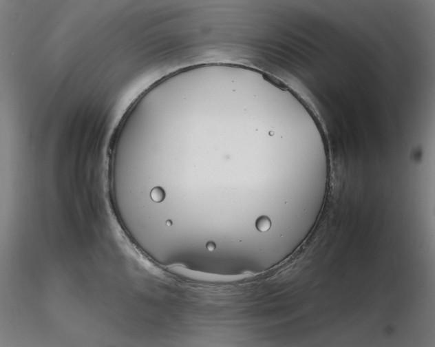 X0000116461096200912231356