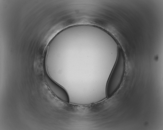 X0000116461097200912231356