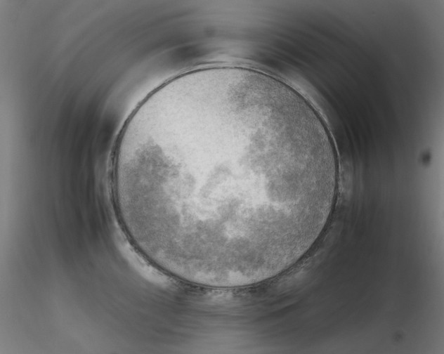 X0000116461098200912231356