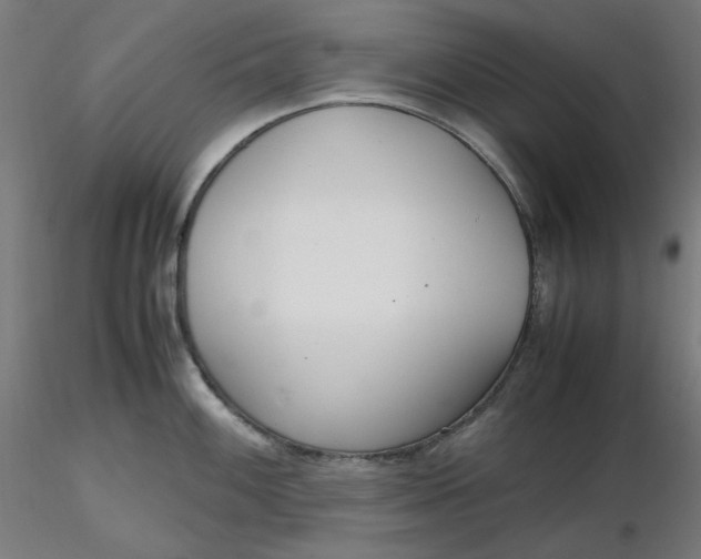 X0000116461100200912231356