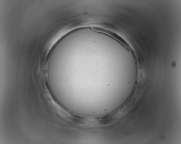 X0000116461101200912231355