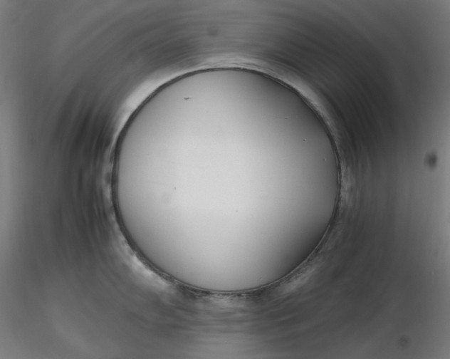 X0000116461102200912231355