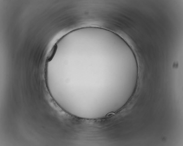 X0000116461104200912231355