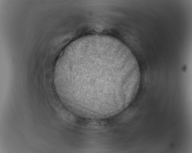 X0000116461105200912231355