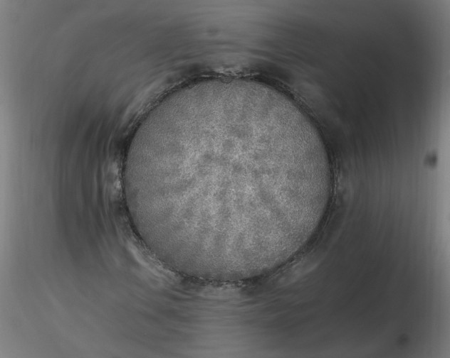 X0000116461106200912231355