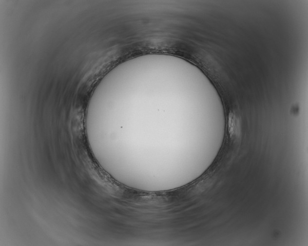 X0000116461107200912231355