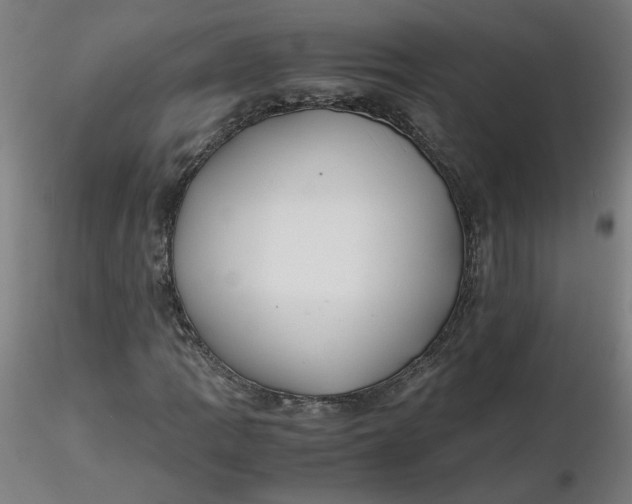 X0000116461109200912231355