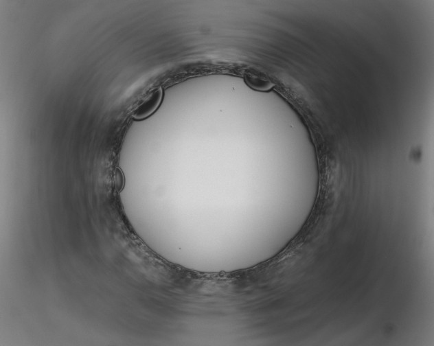 X0000116461110200912231355