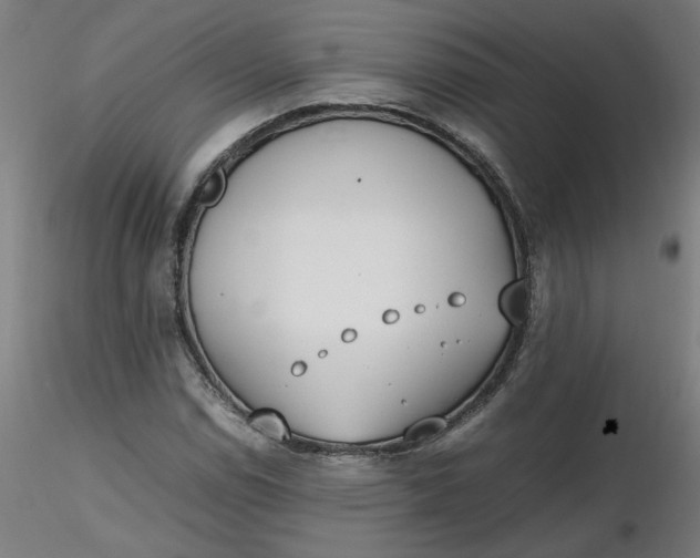 X0000116461114200912231355