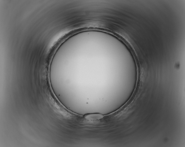 X0000116461115200912231355