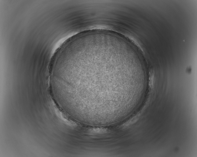 X0000116461117200912231355