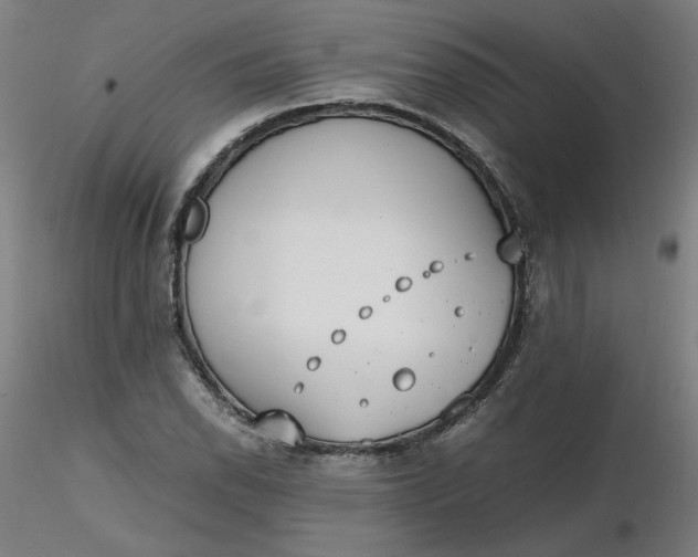 X0000116461118200912231355