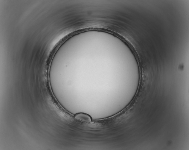 X0000116461119200912231355