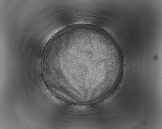 X0000116461121200912231355