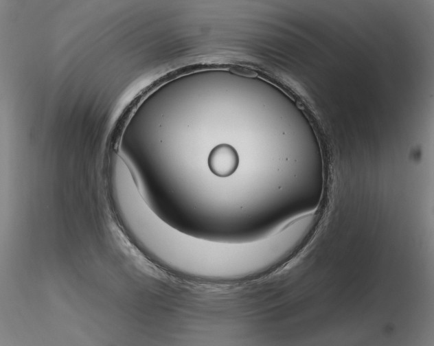 X0000116461122200912231355