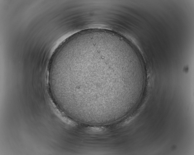 X0000116461125200912231355
