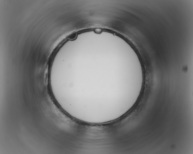 X0000116461126200912231355