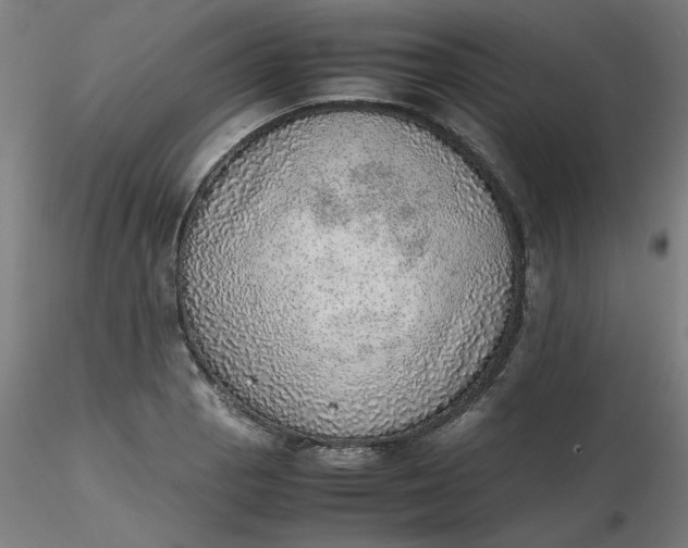 X0000116461129200912231355