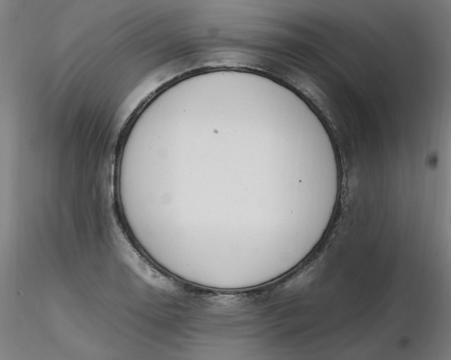 X0000116461130200912231355