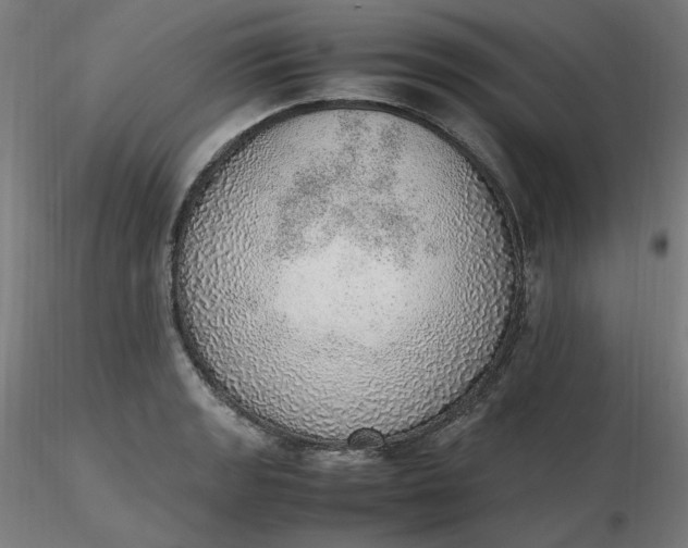 X0000116461133200912231355