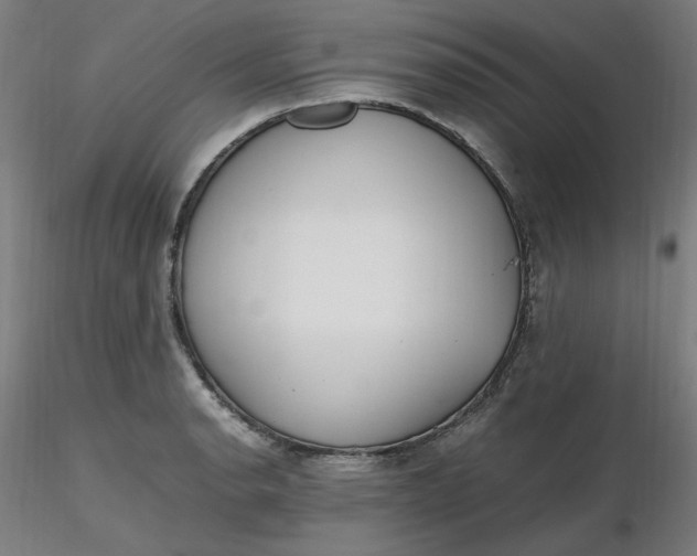 X0000116461134200912231355