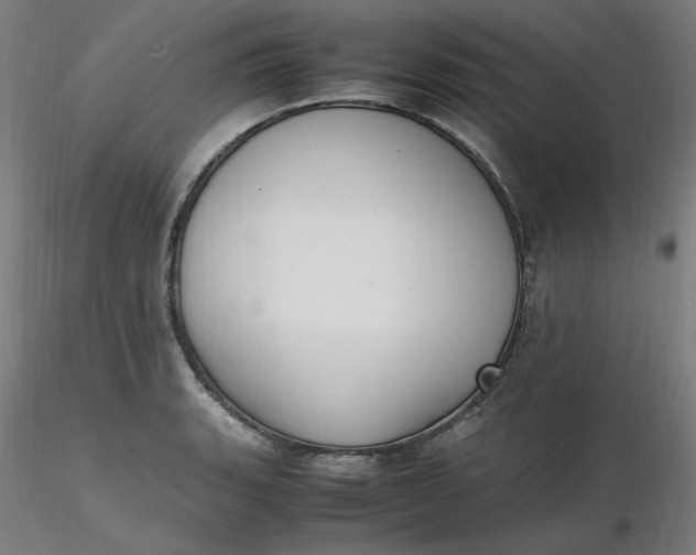 X0000116461135200912231355
