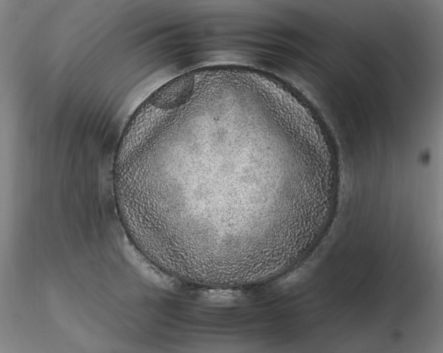 X0000116461137200912231355