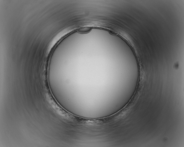 X0000116461138200912231355