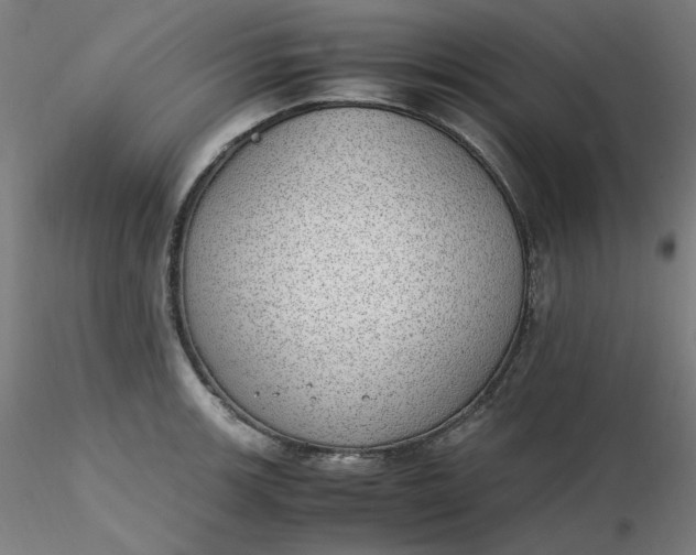 X0000116461139200912231355