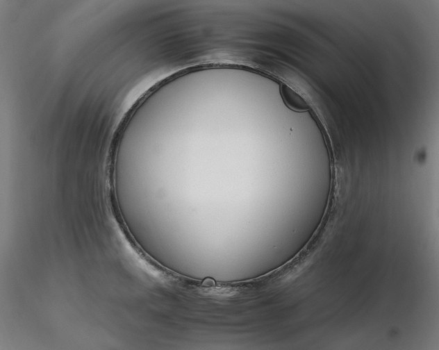 X0000116461141200912231355