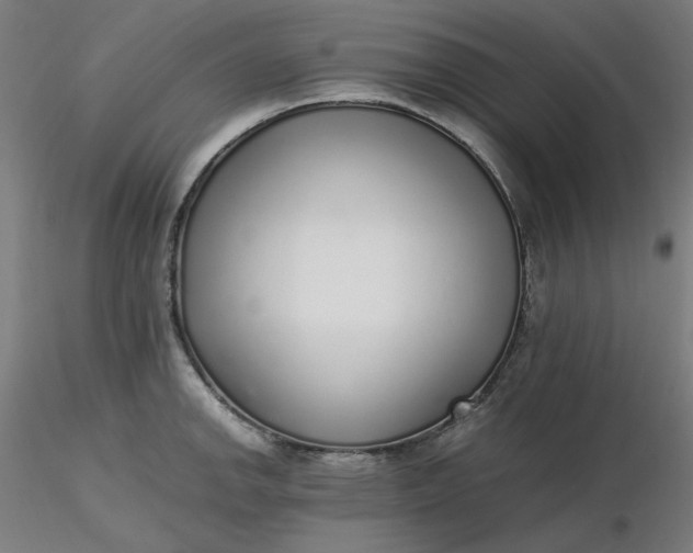 X0000116461142200912231355