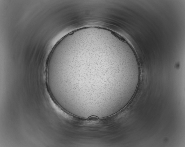 X0000116461143200912231355