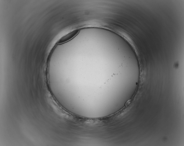 X0000116461146200912231355