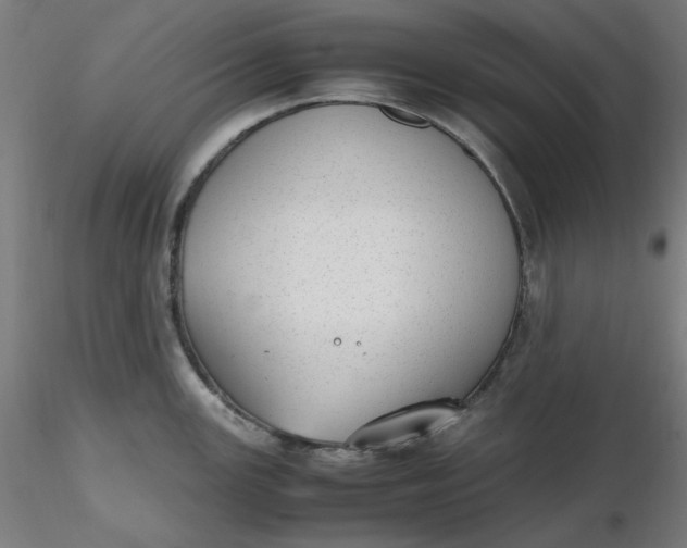 X0000116461147200912231355