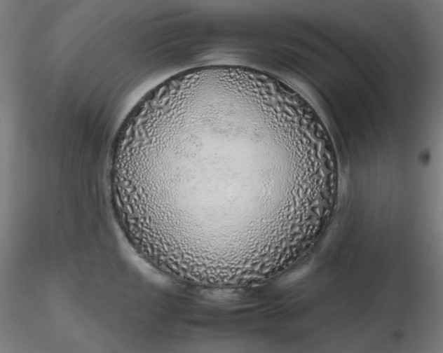 X0000116461149200912231355