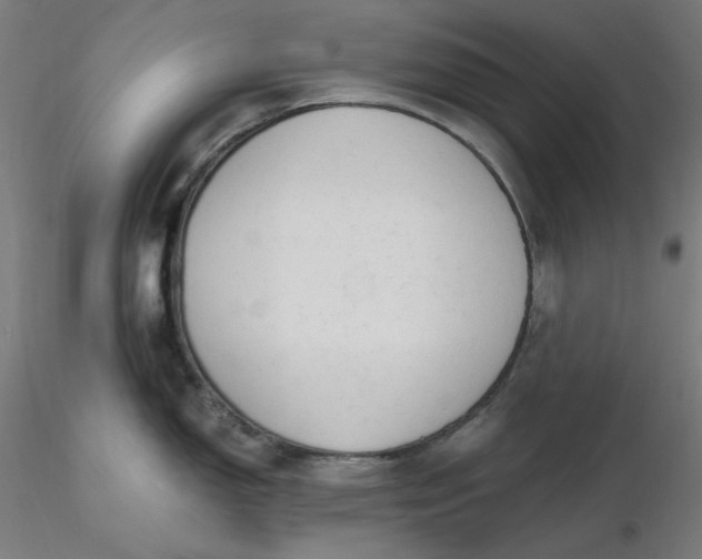 X0000116461150200912231355