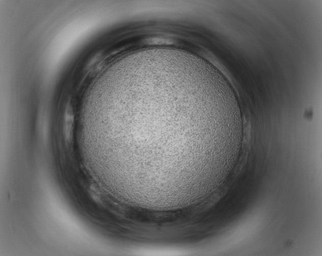 X0000116461151200912231355