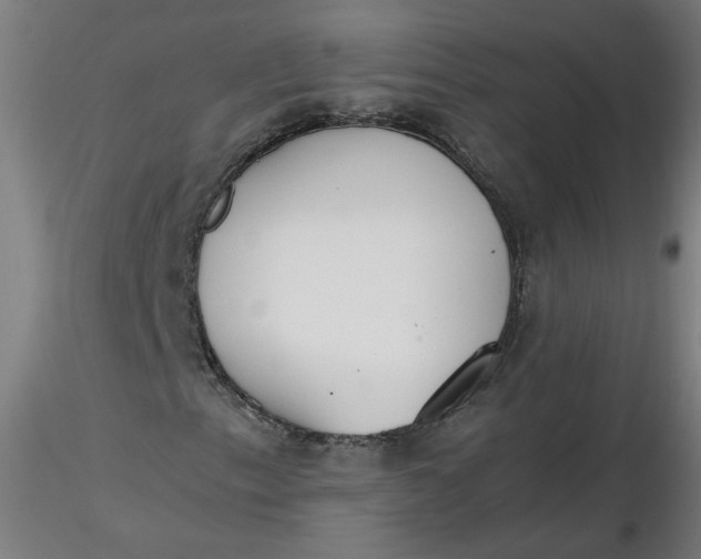 X0000116461153200912231355