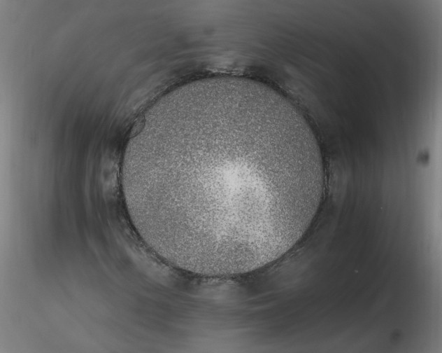 X0000116461154200912231355