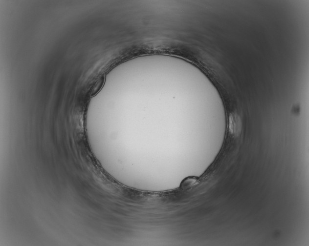 X0000116461155200912231355